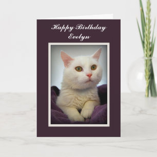 Tarjeta blanca del gato del feliz cumpleaños de