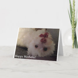 Tarjeta blanca, divertida del feliz cumpleaños del