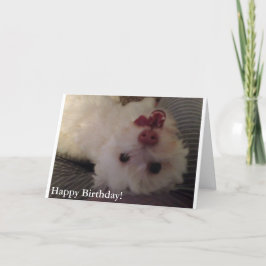 Tarjeta blanca, divertida del feliz cumpleaños del