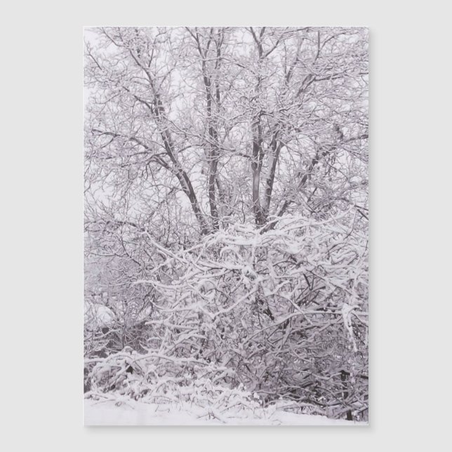 Tarjeta blanca magnética de la nieve (Anverso)