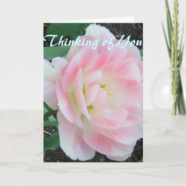 Tarjeta blanca rosa de la flor de bonito se recupe (Anverso)