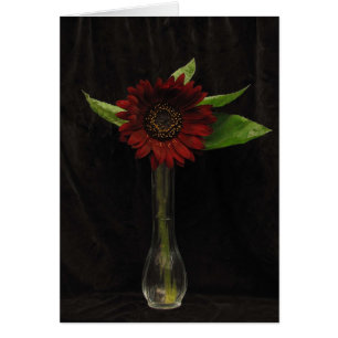 Tarjeta blanca simple de girasol rojo