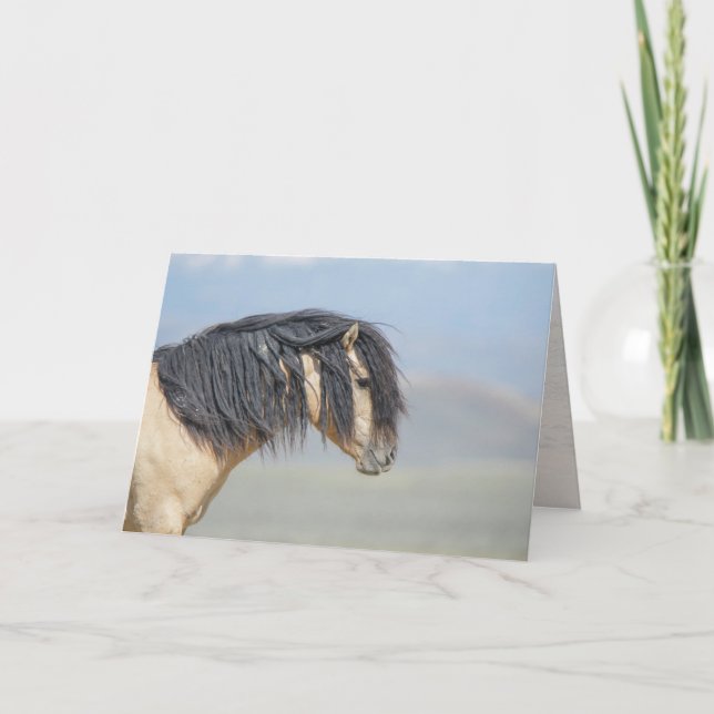 Tarjeta blanca Wicahpi Hinhpaya (Estrella caída) (Anverso)