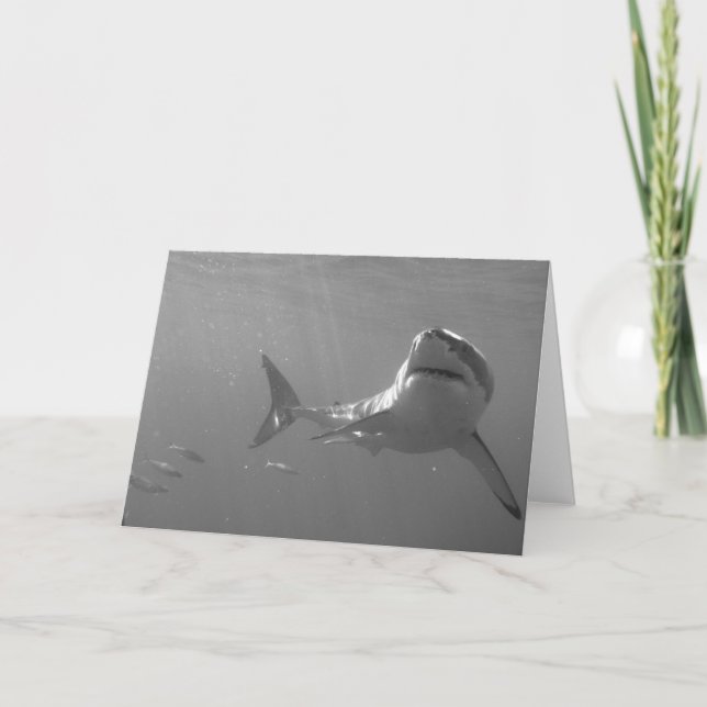 Tarjeta Blanco grande (Anverso)