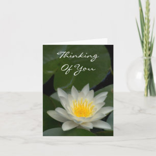 TARJETA BLANCO LOTUS BLOSSOM