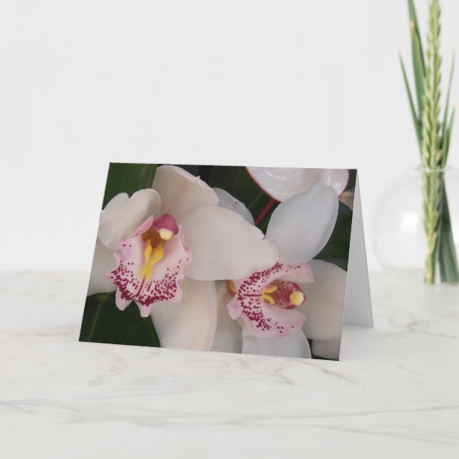 Tarjeta Blanco Orquídea en blanco (Anverso)