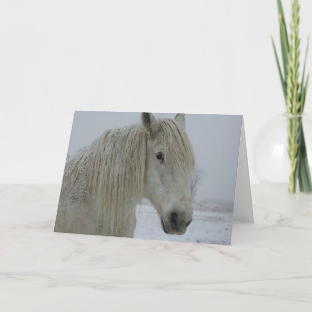 Tarjeta Blanco puro (Anverso)