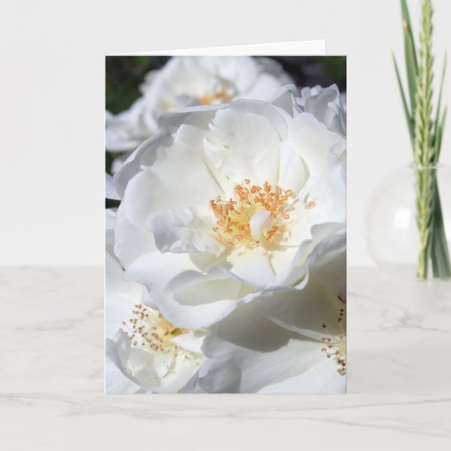 Tarjeta Blanco y blanco - Rosas - Fotografía floral (Anverso)