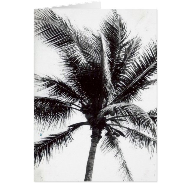 Tarjeta blanco y negro de la palmera (Frente)