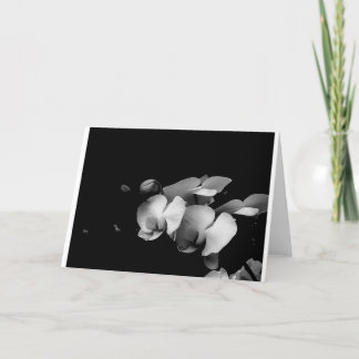 Tarjeta blanco y negro de la rama de la orquídea
