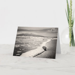 Tarjeta Blank Greeting card - sea shell on beach