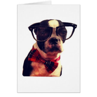Tarjeta Blank Hipster Boston Terrier