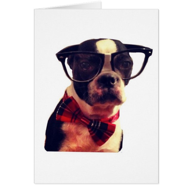 Tarjeta Blank Hipster Boston Terrier (Frente)