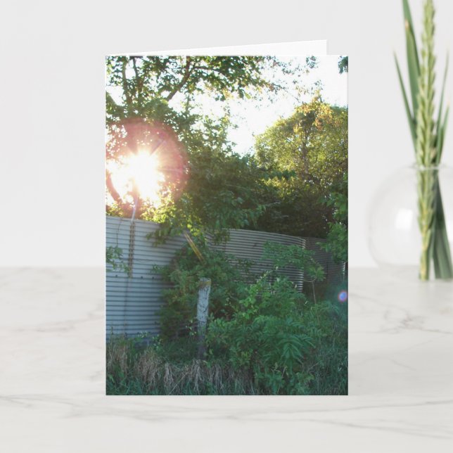 Tarjeta Blindajes de granos abandonados (Anverso)