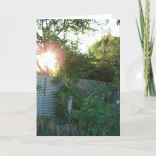 Tarjeta Blindajes de granos abandonados