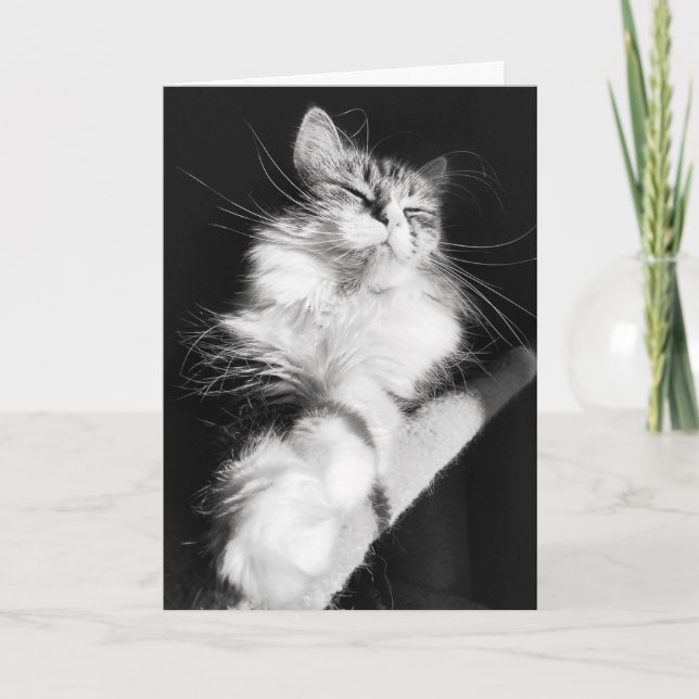 Tarjeta Bliss de Cumpleaños (Anverso)