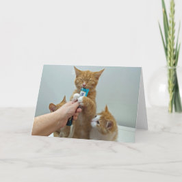 Tarjeta "Bliss" - Huey y su regalo favorito