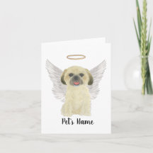 Blonde Tan Golden Shih Tzu en memoria de la solida