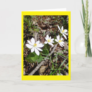 Tarjeta Bloodroot Blank Notecard