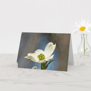Tarjeta Bloom de dogwood blanco