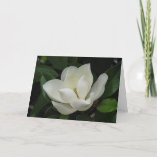 Tarjeta Bloom de Magnolia del Sur