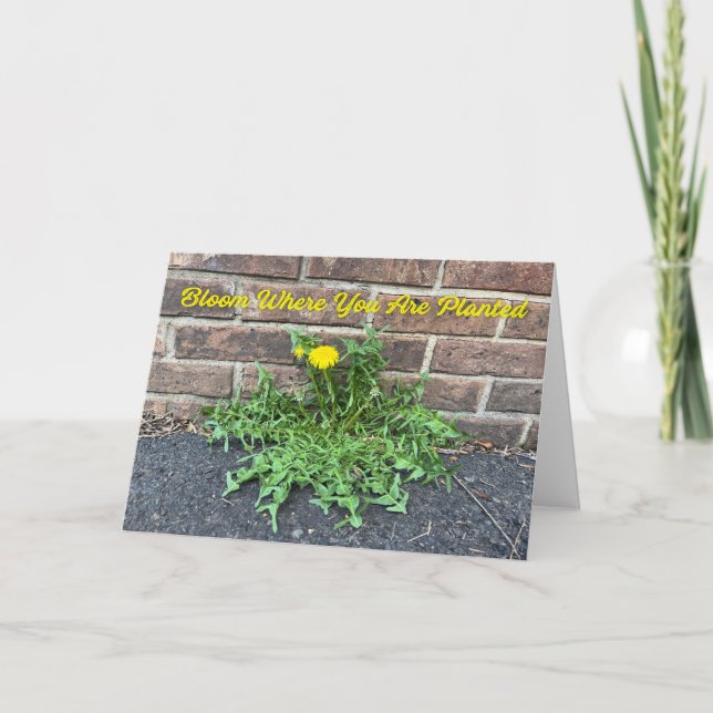 Tarjeta Bloom Donde Te Plantan Foto De Dandelion (Anverso)