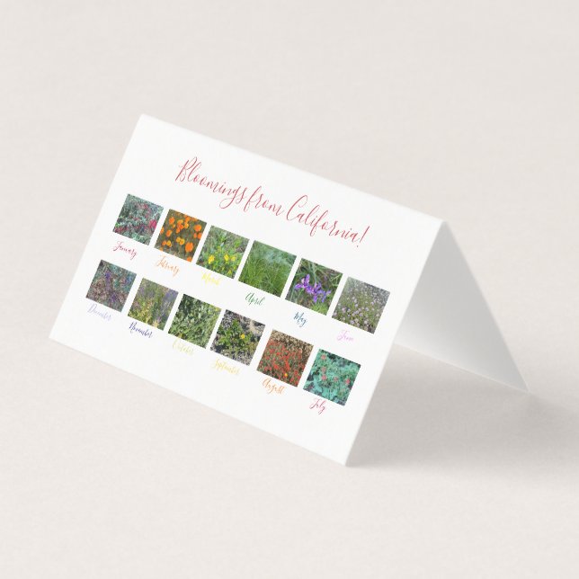 Tarjeta ¡Bloomers desde California! (Anverso)