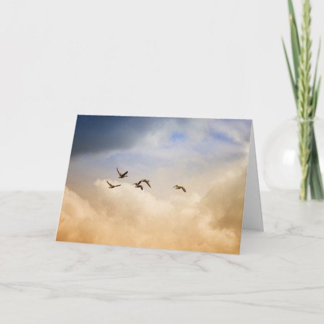 Tarjeta Bloqueo de aves en vuelo (Anverso)