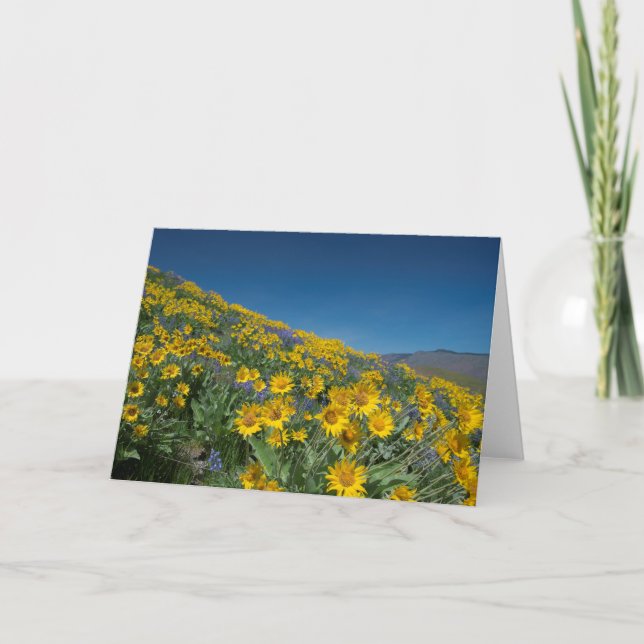 Tarjeta Bloqueo de Balsamroot blanco (Anverso)