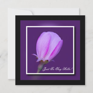 Tarjeta Blossom de primavera rosada y morada