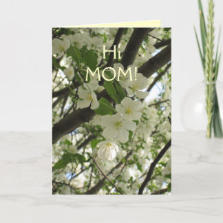 Tarjeta blossoms7, HiMOM!