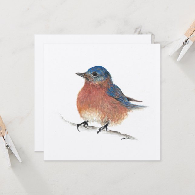 Tarjeta Blue Bird (Anverso/Reverso In Situ)