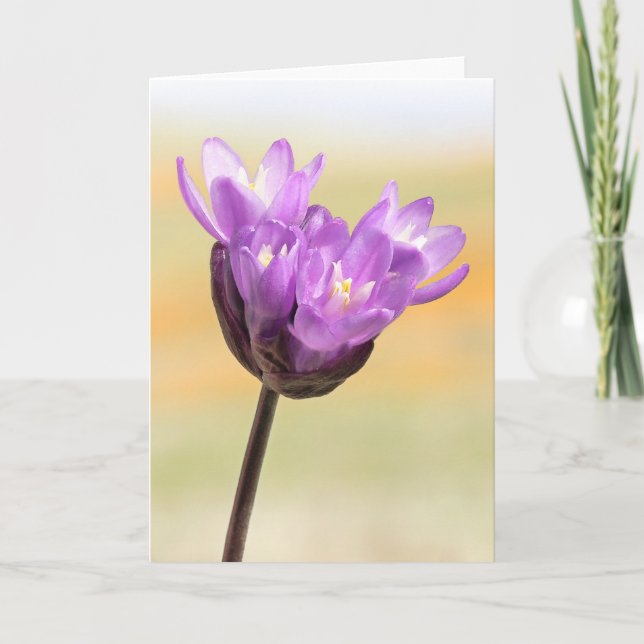 Tarjeta Blue Dick Wildflower (Anverso)