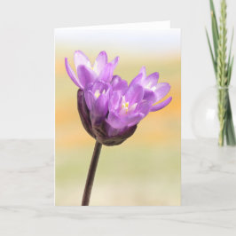 Tarjeta Blue Dick Wildflower