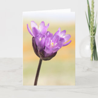 Tarjeta Blue Dick Wildflower