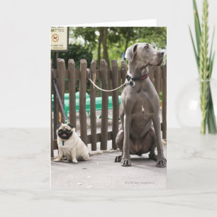 Tarjeta Blue Great Dane y pug dogs con correa