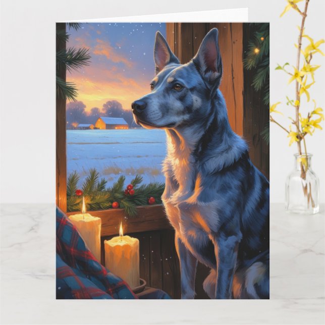 Tarjeta Blue Heeler con vacaciones de Navidades Luminosos (flor amarilla)