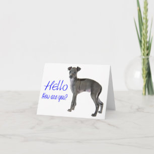 Tarjeta Blue Hello Gray Italiano Greyhound Puppy Perro