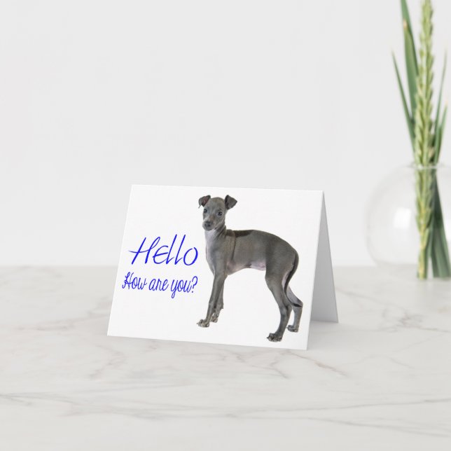 Tarjeta Blue Hello Gray Italiano Greyhound Puppy Perro (Anverso)