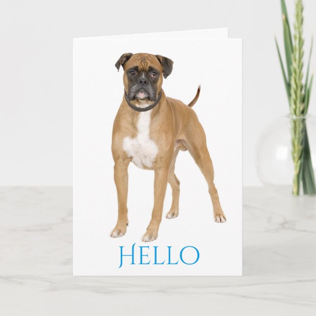 Tarjeta Blue Hello / Hi Boxer Puppy - Perro Marrón y Blanc (Anverso)