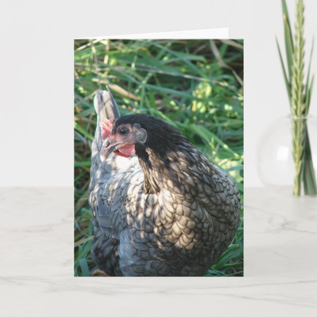Tarjeta Blue Hen (Anverso)