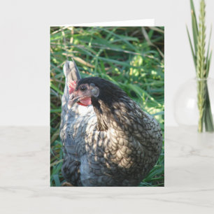 Tarjeta Blue Hen