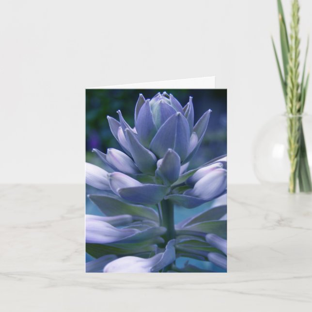 Tarjeta Blue Hosta "photographic" everyday card (Anverso)