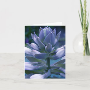 Tarjeta Blue Hosta "photographic" everyday card