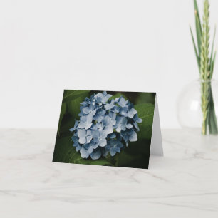 Tarjeta Blue Hydrangea 8515