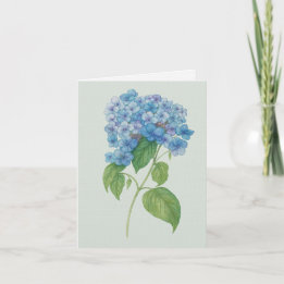 Tarjeta Blue Hydrangea Botanical Art Card — Blank Notecard