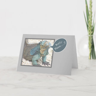 TARJETA BLUE IGUANA/HEAD TILTED/"PRETTY PLEASE?/GET WELL S