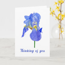 Blue Iris Thinking of You Folded Card (Pensar en e