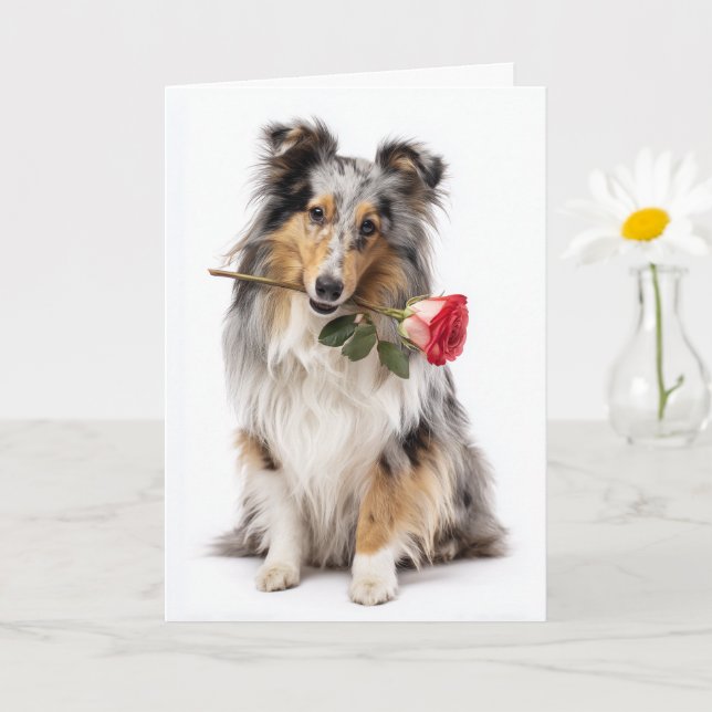 Tarjeta Blue Merle Sheltie San Valentín – Devoción Suave (Planta pequeña)