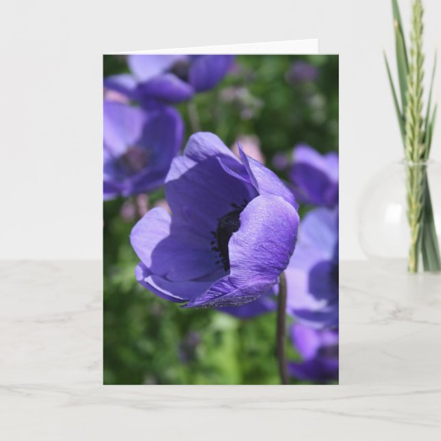 Tarjeta Blue Purple Anemone Floral Photography GC (Anverso)